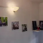 Apartamento Casa Mino *